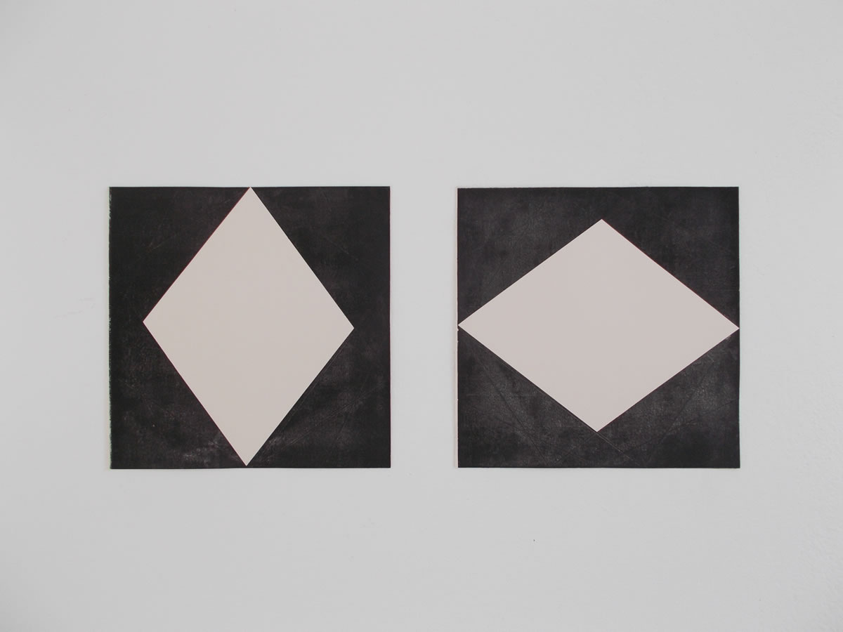 Exhibitionism @ Salle Blanche 2, Katrina Blannin